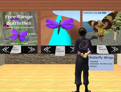 100131butterfly01