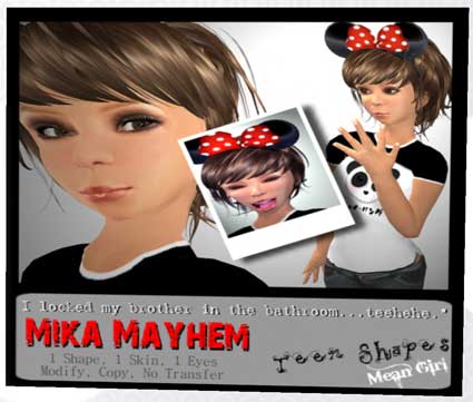 091227skin02