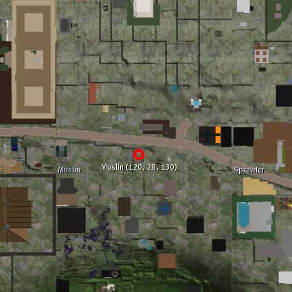 100220pixel000