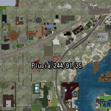 100908slrrg99