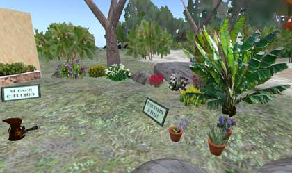 090328rustic01