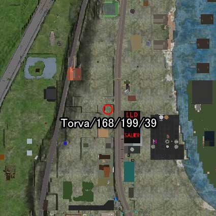 100725flag99