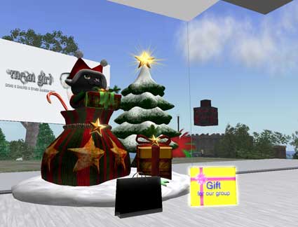 091227skin01
