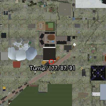 101230rc99