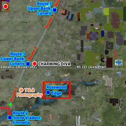 120121rwe99