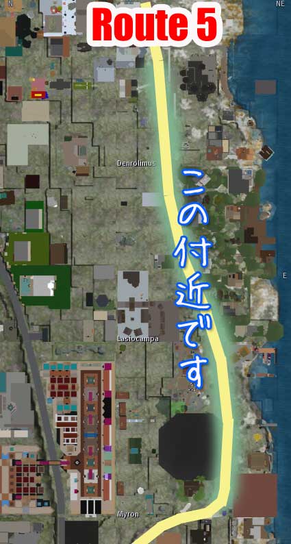 100126rout5000