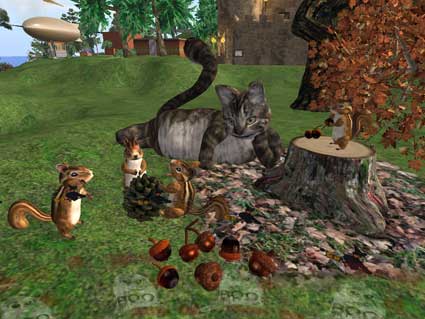 101027cat04