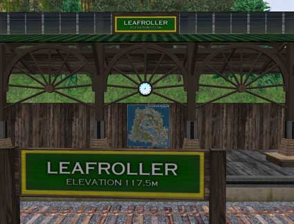 100130Leafroller01