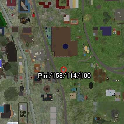 100723pini99