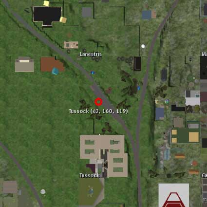 100531tussock99