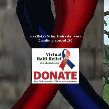 100130haiti00