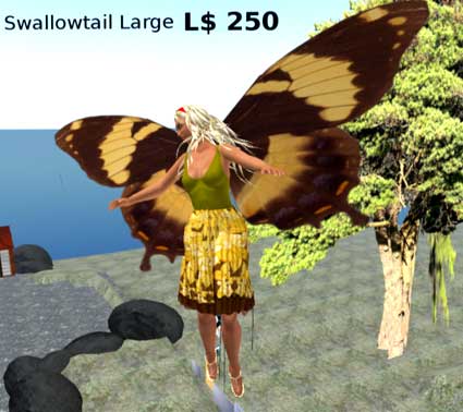 100131butterfly00