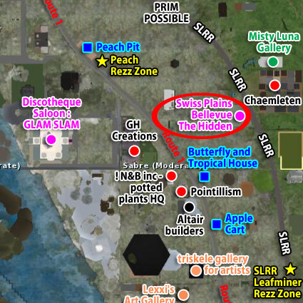 120124sw99