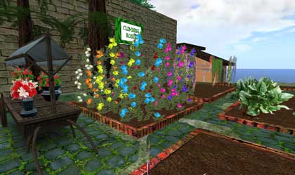 090329garden01