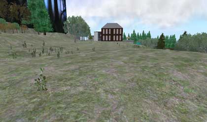 090129linden00