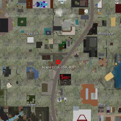 100526scape99