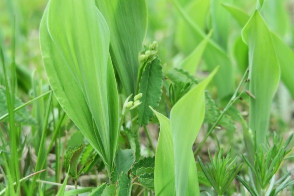 08