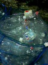 8bd064d2.jpg
