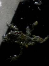c9726d00.jpg