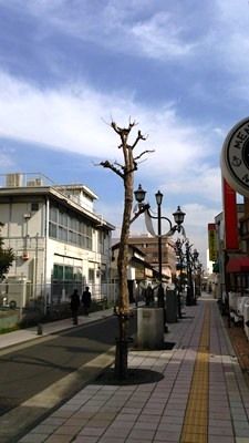 170301懐かしい風景1