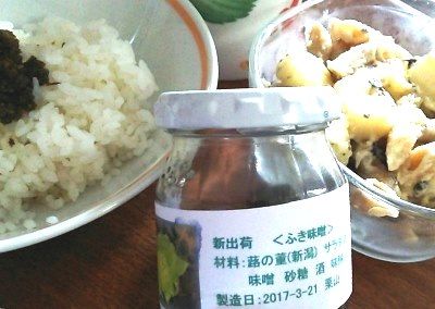 170524ふき味噌2