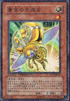 DT06-JP003