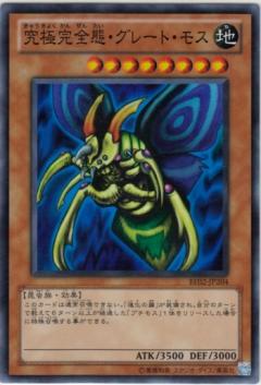 BE02-JP204SR
