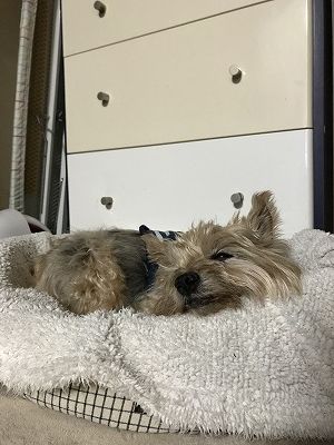 IMG_0021
