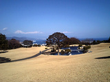 yamutya