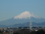 P1000762