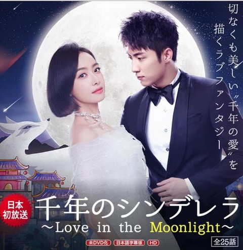 中国ドラマ 千年のシンデレラ～Love in the Moonlight～ DVD 日本語字幕あらすじ