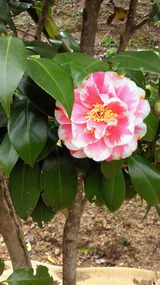 fd7922f6.jpg