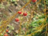 IMG_1279_2
