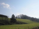 IMG_0805_2