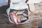 fishing_3_2