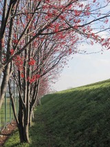 IMG_0790_2