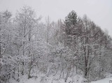 IMG_0956_2