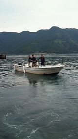 201010170630000