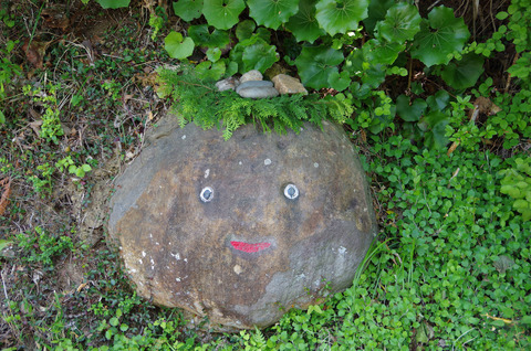 IMGP6151