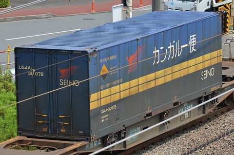 CHANNEL S CI FISH 西濃運輸営業所留め送料込 U54A-30072 : コンテナ日和
