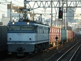 EF65 118¹¹¿·µ¡