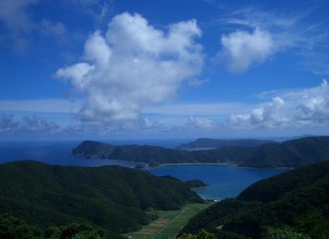 網野子 500