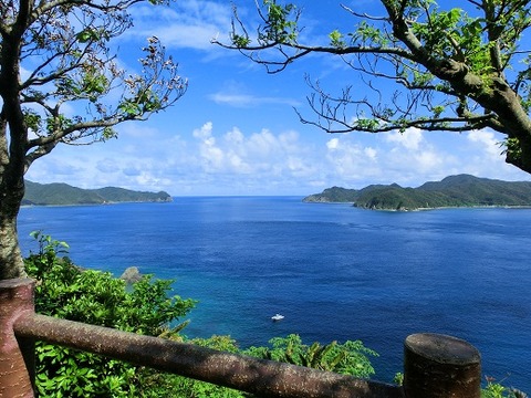 500 大島海峡
