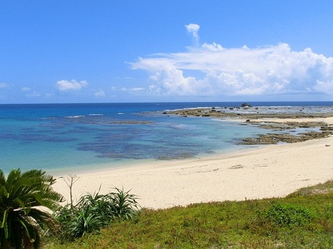土盛海岸