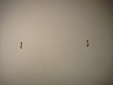 DSC00586