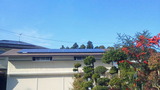 317ed9f2.jpg