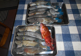 DSCN0181