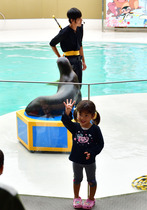DSC_3973_00001