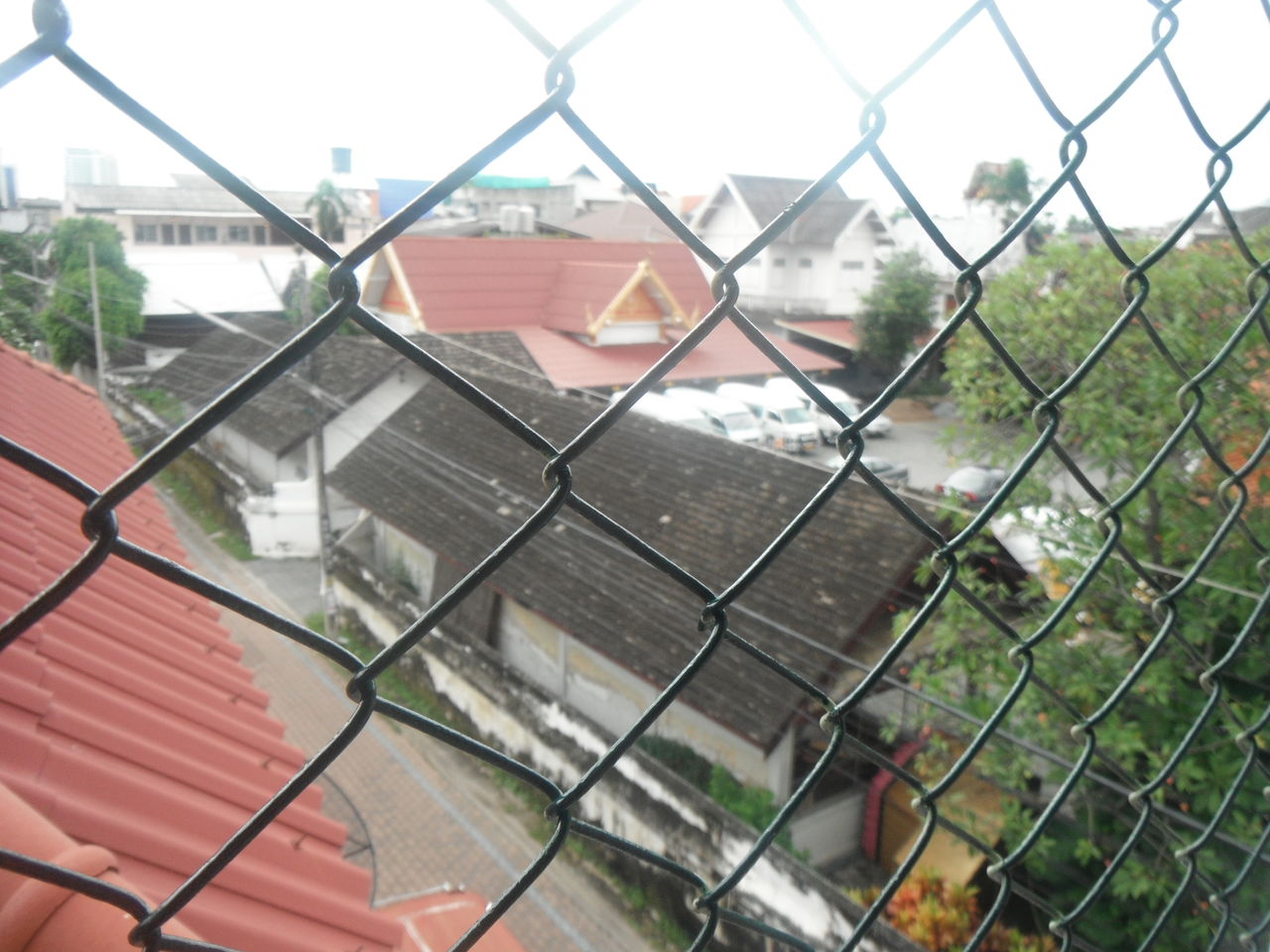 DSCF0448