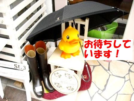 アヒル02
